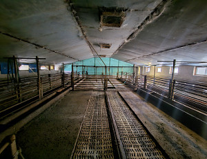 Bourací práce na hale chovu prasnic